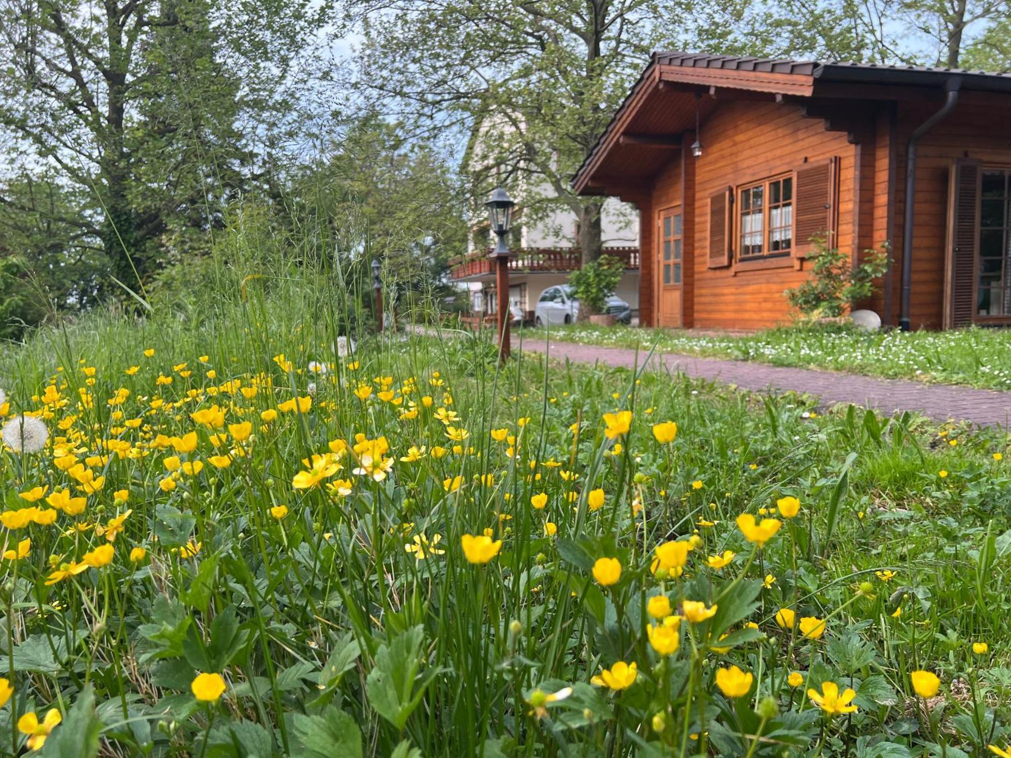 Landgasthof Gaensberg Віслох Екстер'єр фото